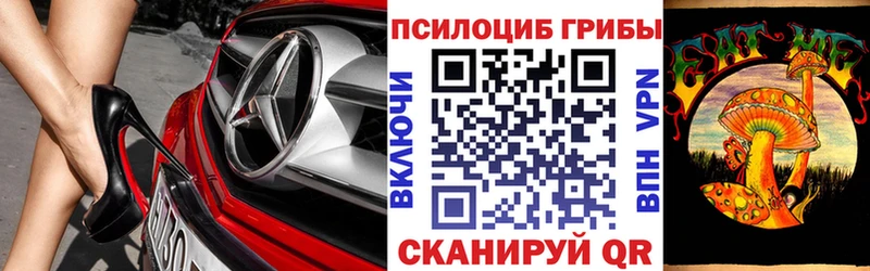 Купить где  Лысьва  Псилоцибиновые грибы MAGIC MUSHROOMS 